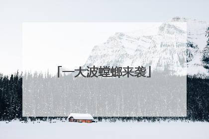 一大波螳螂来袭