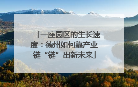 一座园区的生长速度：德州如何靠产业链“链”出新未来