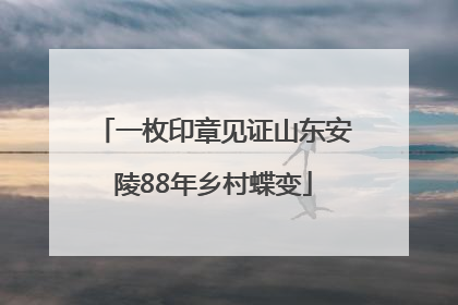 一枚印章见证山东安陵88年乡村蝶变