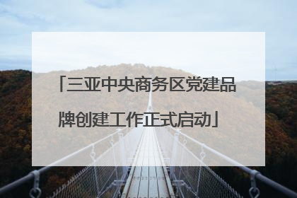 三亚中央商务区党建品牌创建工作正式启动