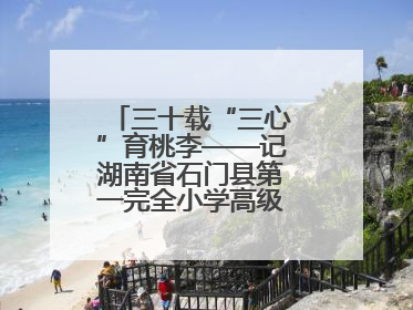 三十载“三心”育桃李——记湖南省石门县第一完全小学高级教师覃玲君