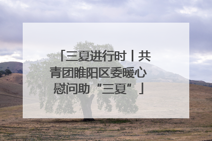 三夏进行时丨共青团睢阳区委暖心慰问助“三夏”