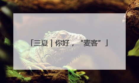 三夏｜你好，“麦客”