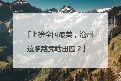 上榜全国最美，沧州这条路凭啥出圈？