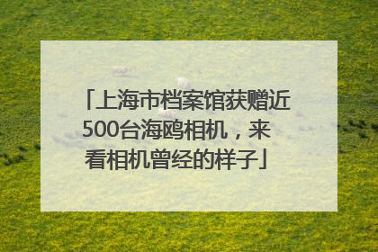 上海市档案馆获赠近500台海鸥相机，来看相机曾经的样子