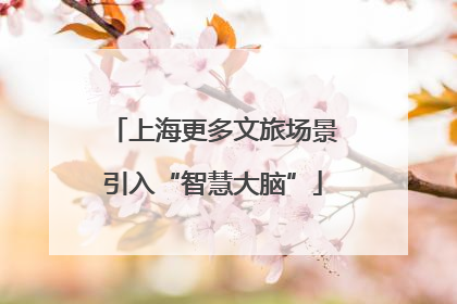 上海更多文旅场景引入“智慧大脑”