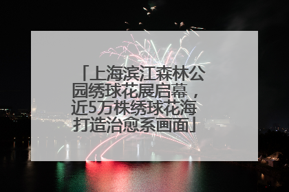 上海滨江森林公园绣球花展启幕，近5万株绣球花海打造治愈系画面