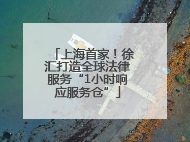上海首家！徐汇打造全球法律服务“1小时响应服务仓”