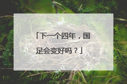下一个四年，国足会变好吗？