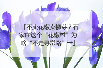 不卖花椒卖椒芽？石家庄这个“花椒村”为啥“不走寻常路”→