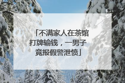 不满家人在茶馆打牌输钱，一男子竟报假警泄愤