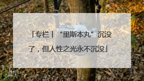 专栏丨“里斯本丸”沉没了，但人性之光永不沉没