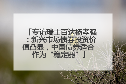 专访瑞士百达杨孝强：新兴市场债券投资价值凸显，中国债券适合作为“稳定器”