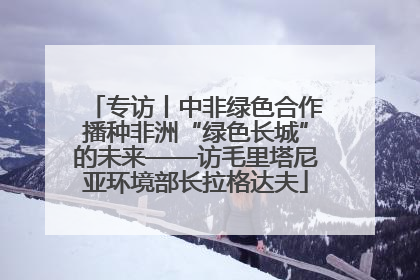专访丨中非绿色合作播种非洲“绿色长城”的未来——访毛里塔尼亚环境部长拉格达夫