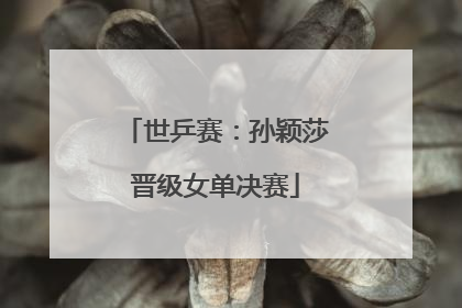 世乒赛：孙颖莎晋级女单决赛