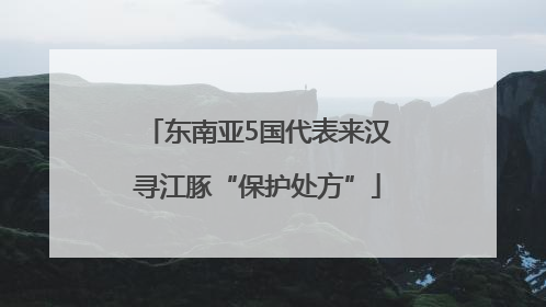 东南亚5国代表来汉寻江豚“保护处方”
