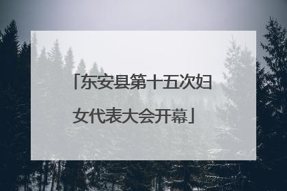 东安县第十五次妇女代表大会开幕