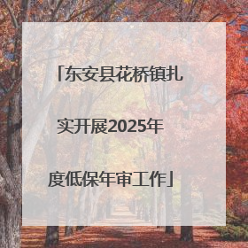 东安县花桥镇扎实开展2025年度低保年审工作