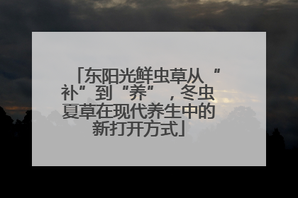 东阳光鲜虫草从“补”到“养”，冬虫夏草在现代养生中的新打开方式