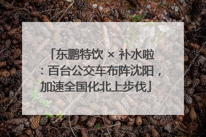 东鹏特饮 × 补水啦：百台公交车布阵沈阳，加速全国化北上步伐