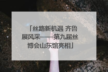 丝路新机遇 齐鲁展风采——第九届丝博会山东馆亮相