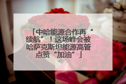 中哈能源合作再“续航”！这场峰会被哈萨克斯坦能源高管点赞“加油”