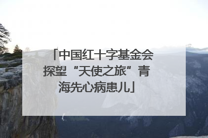 中国红十字基金会探望“天使之旅”青海先心病患儿