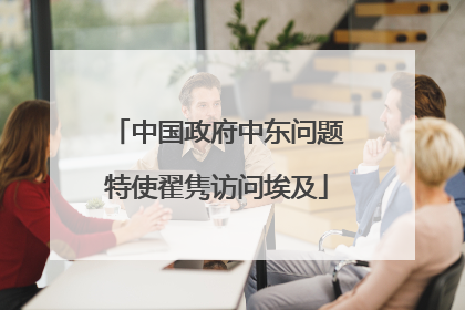 中国政府中东问题特使翟隽访问埃及