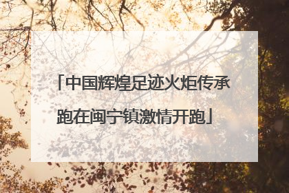 中国辉煌足迹火炬传承跑在闽宁镇激情开跑