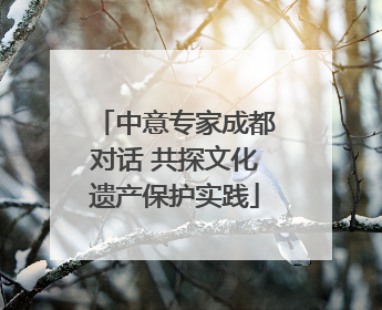 中意专家成都对话 共探文化遗产保护实践