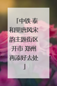 中铁·泰和里唐风宋韵主题街区开市 郑州再添好去处