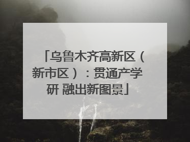 乌鲁木齐高新区（新市区）：贯通产学研 融出新图景