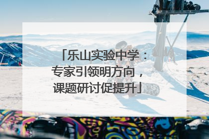 乐山实验中学：专家引领明方向，课题研讨促提升