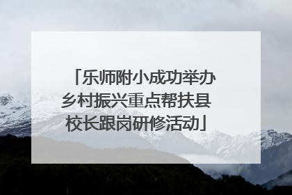 乐师附小成功举办乡村振兴重点帮扶县校长跟岗研修活动
