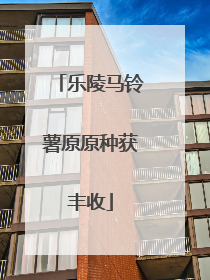 乐陵马铃薯原原种获丰收