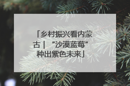 乡村振兴看内蒙古｜“沙漠蓝莓”种出紫色未来