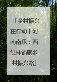乡村振兴在行动丨河南南乐：西红柿铺就乡村振兴路