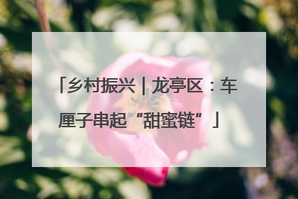 乡村振兴｜龙亭区：车厘子串起“甜蜜链”