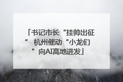 书记市长“挂帅出征” 杭州催动“小龙们”向AI高地进发