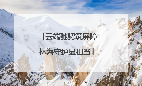 云端驰骋筑屏障 林海守护显担当
