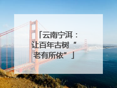 云南宁洱：让百年古树“老有所依”