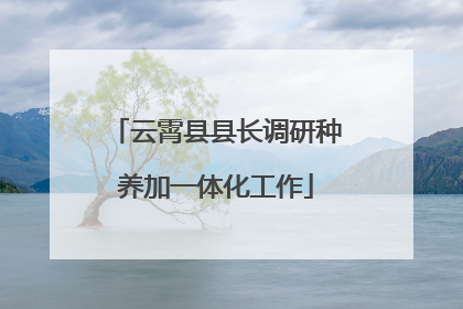 云霄县县长调研种养加一体化工作