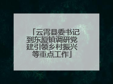 云霄县委书记到东厦镇调研党建引领乡村振兴等重点工作