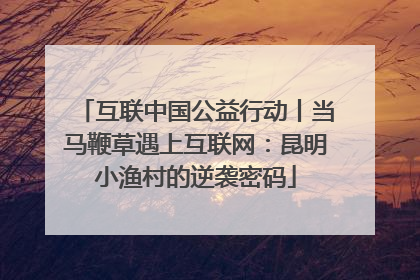 互联中国公益行动丨当马鞭草遇上互联网：昆明小渔村的逆袭密码