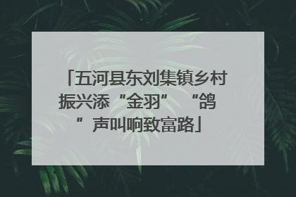 五河县东刘集镇乡村振兴添“金羽” “鸽”声叫响致富路