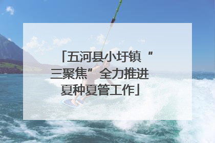 五河县小圩镇“三聚焦”全力推进夏种夏管工作