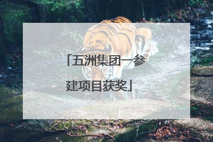 五洲集团一参建项目获奖