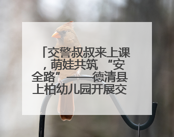 交警叔叔来上课，萌娃共筑 “安全路”——德清县上柏幼儿园开展交通安全课