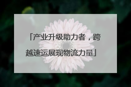 产业升级助力者，跨越速运展现物流力量