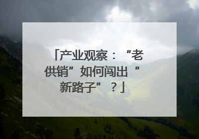 产业观察：“老供销”如何闯出“新路子”？